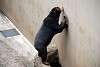 ueno_zoo_2325_mini.jpg
