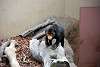 ueno_zoo_2341_mini.jpg