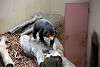 ueno_zoo_2352_mini.jpg