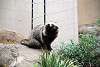 ueno_zoo_2400_mini.jpg