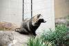 ueno_zoo_2401_mini.jpg
