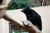 ueno_zoo_2444_mini.jpg