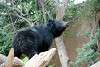 ueno_zoo_2508_mini.jpg