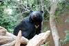 ueno_zoo_2512_mini.jpg