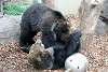 ueno_zoo_2580_mini.jpg