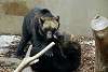 ueno_zoo_2655_mini.jpg