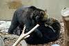 ueno_zoo_2667_mini.jpg