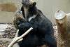 ueno_zoo_2680_mini.jpg