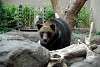 ueno_zoo_2698_mini.jpg