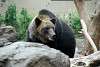 ueno_zoo_2701_mini.jpg