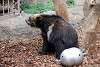 ueno_zoo_2706_mini.jpg