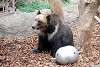 ueno_zoo_2708_mini.jpg