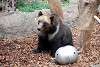 ueno_zoo_2709_mini.jpg