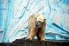 ueno_zoo_2784_mini.jpg