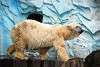 ueno_zoo_2785_mini.jpg
