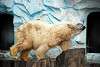 ueno_zoo_2787_mini.jpg