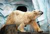 ueno_zoo_2788_mini.jpg
