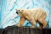 ueno_zoo_2791_mini.jpg