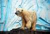 ueno_zoo_2793_mini.jpg
