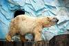 ueno_zoo_2806_mini.jpg
