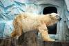 ueno_zoo_2809_mini.jpg