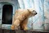 ueno_zoo_2812_mini.jpg