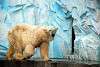 ueno_zoo_2819_mini.jpg