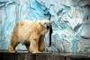 ueno_zoo_2821_mini.jpg