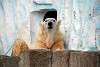 ueno_zoo_2828_mini.jpg