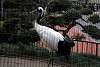 ueno_zoo_2908_mini.jpg
