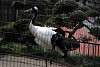 ueno_zoo_2917_mini.jpg