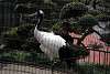ueno_zoo_2918_mini.jpg