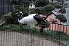 ueno_zoo_2935_mini.jpg