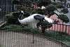 ueno_zoo_2941_mini.jpg