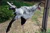 ueno_zoo_2966_mini.jpg