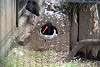 ueno_zoo_3007_mini.jpg