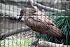 ueno_zoo_3014_mini.jpg