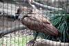 ueno_zoo_3015_mini.jpg