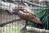 ueno_zoo_3027_mini.jpg