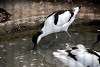 ueno_zoo_3044_mini.jpg