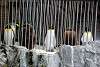ueno_zoo_3136_mini.jpg