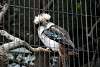 ueno_zoo_3139_mini.jpg