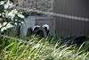 ueno_zoo_3214_mini.jpg