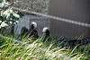 ueno_zoo_3216_mini.jpg