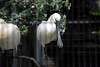 ueno_zoo_3274_mini.jpg