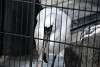 ueno_zoo_3319_mini.jpg
