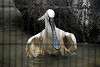 ueno_zoo_3341_mini.jpg