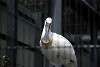 ueno_zoo_3351_mini.jpg