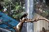 ueno_zoo_3372_mini.jpg