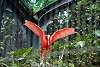 ueno_zoo_3377_mini.jpg